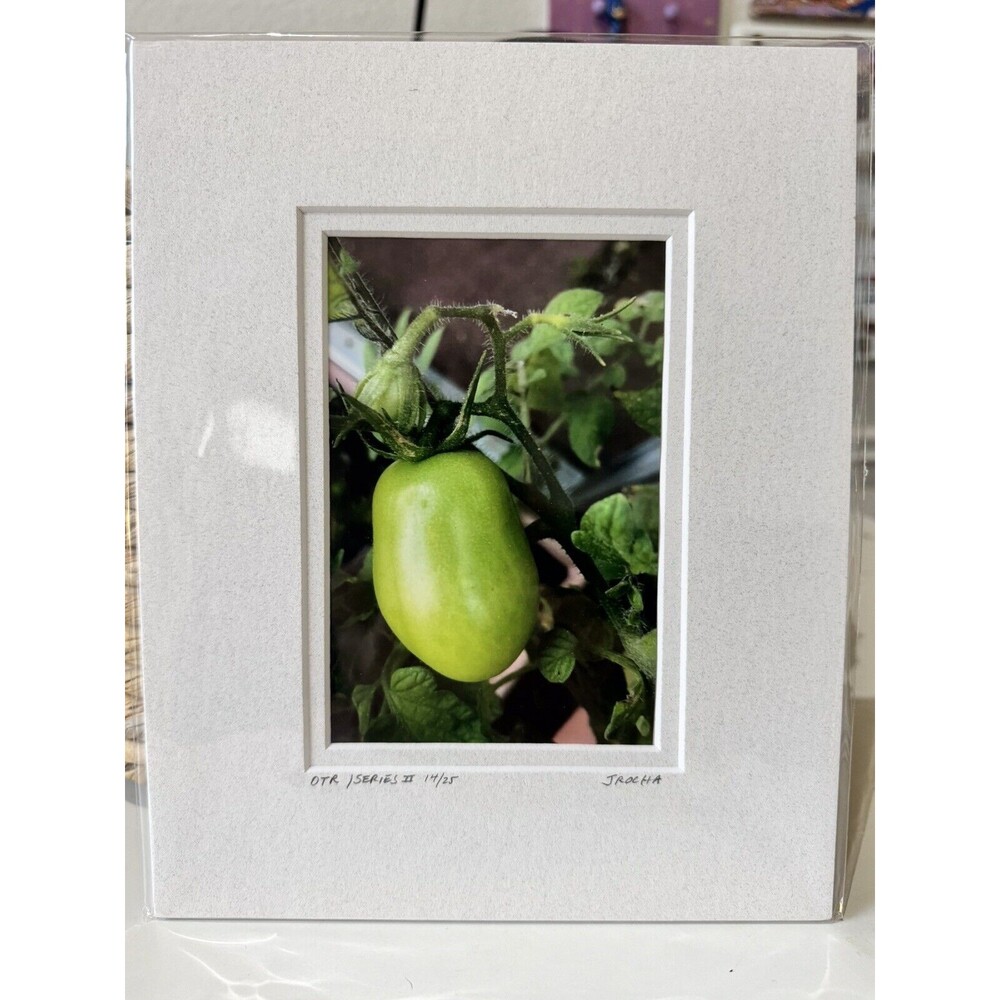 Original Photography 5X7 Picture Double Matted For 8X10 Frame